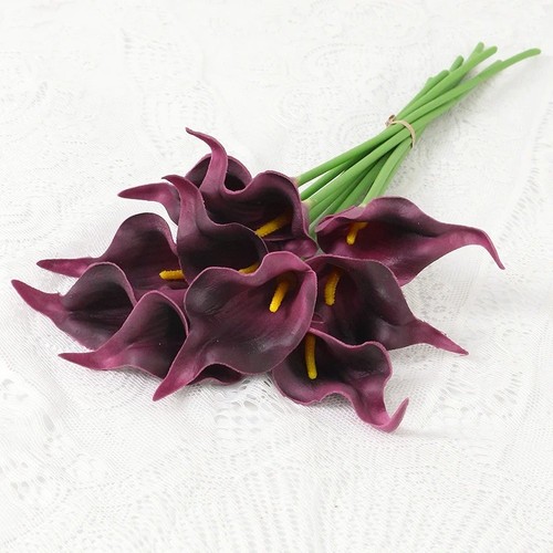 Calla lily flowers - calla,
