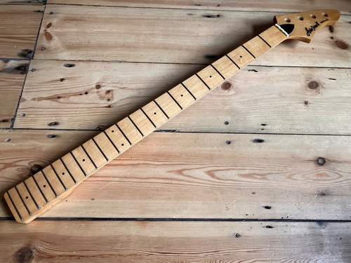 Aria pro magna series bass - ii,