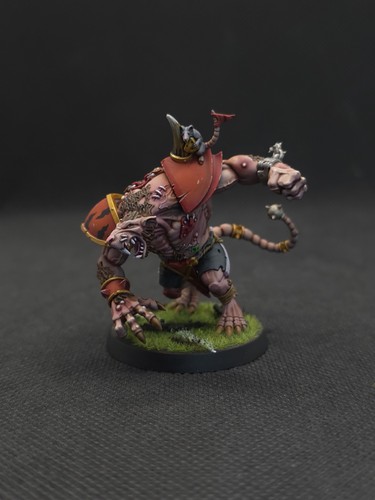 Blood bowl pro painted - pro,