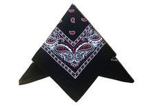 Paisley Bandana Biker Head