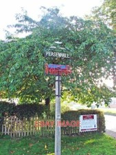 PHOTO  PEASENHALL VILLAGE SIGN THE SEED DRILL REPRESENTED ON THE SIGN IS A REFER