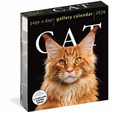 Cat Gallery Desk Calendar 2026