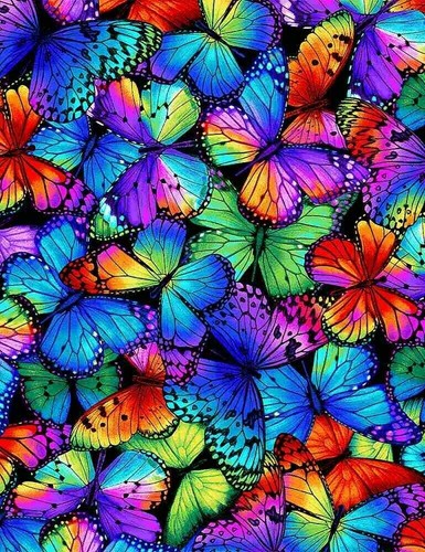 Butterfly magic multi - butterfly,