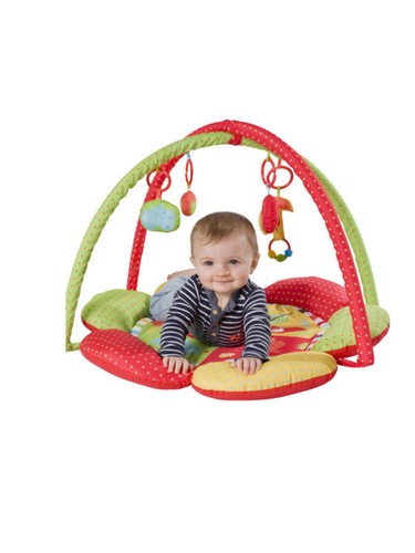 Red kite safari play gym - kite,