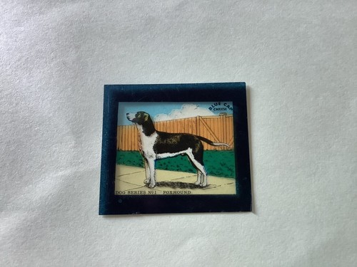 Vintage blue cap cheese - blue,