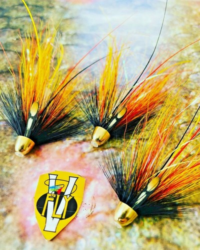Fly conehead uv - v,