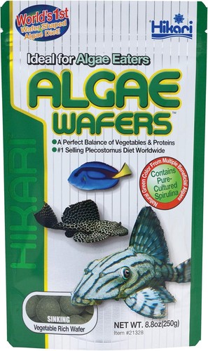 Hikari algae wafer food - hikari,