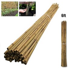 10 x 6FT Strong Thick Garden Bamboo Canes Heavy Duty Plant Support Stakes Pole