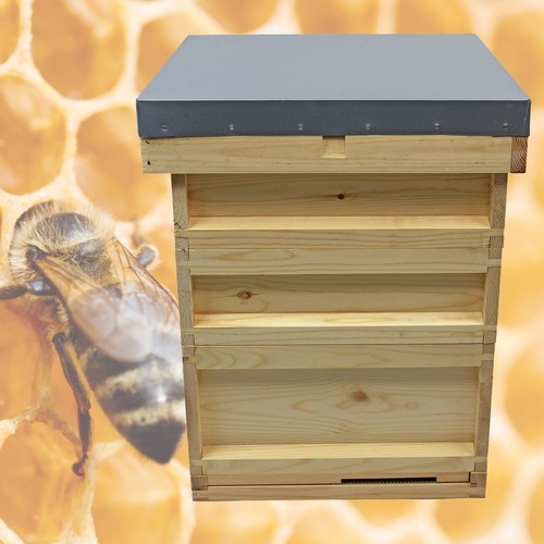 National bee hive pine - national,