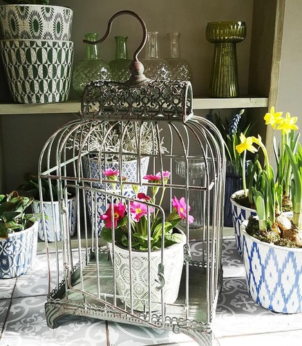 Decorative bird cage hanging - decorative,