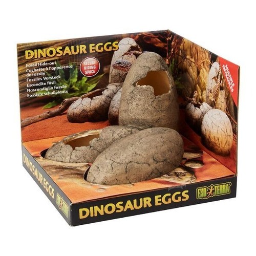 Exo terra dinosaur - eggs, fossil