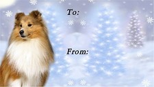 Shetland Sheepdog/Sheltie Xmas