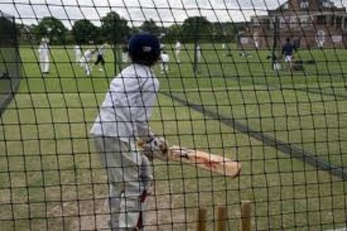 Cricket net 50mm - ,