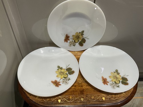 Retro dinner plates - retro,