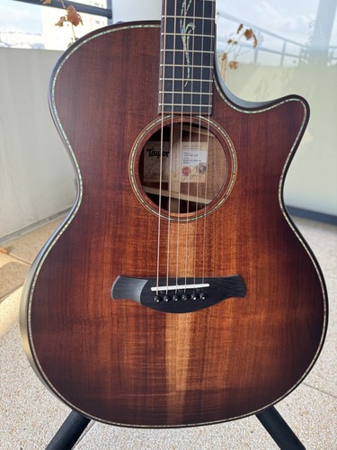 Taylor guitar builder - taylor,
