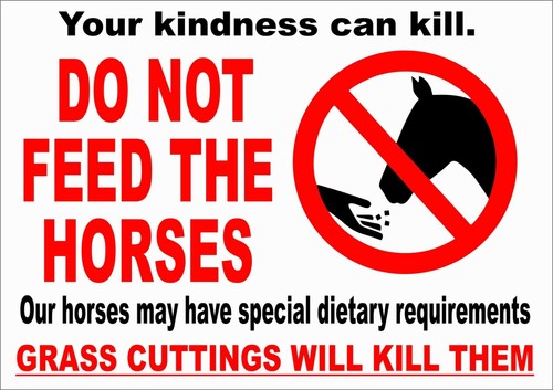 Not feed horses special - do,