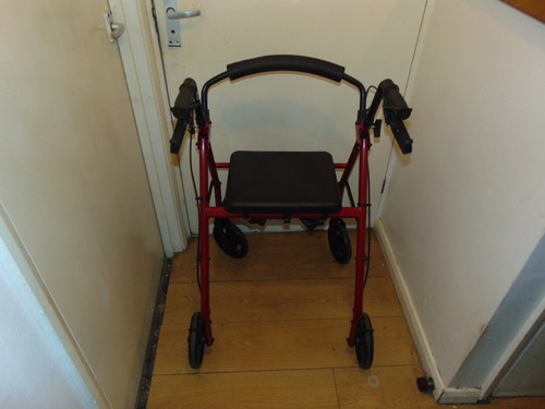 Wheel mobility walker frame - 4,