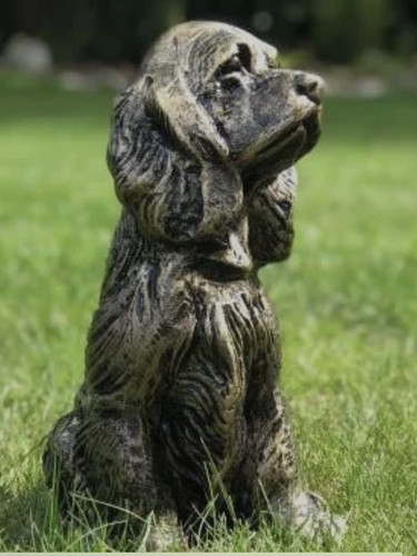 Brushed gold cocker spaniel - gold,