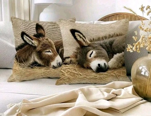 Beautiful sleeping donkey - beautiful,