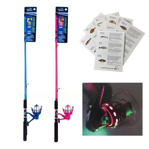 Jarvis walker water rat led - jarvis,