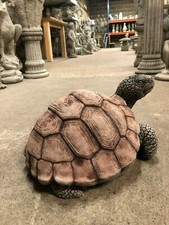 Large garden tortoise, home &