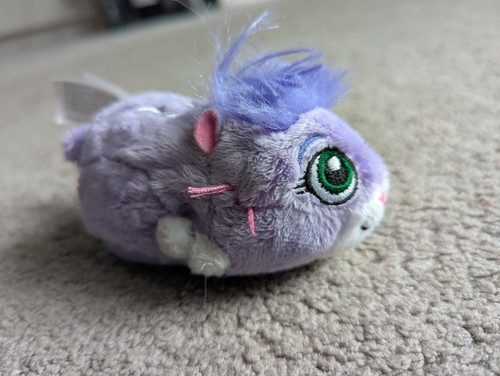 Zhu pets - zhu, hamster