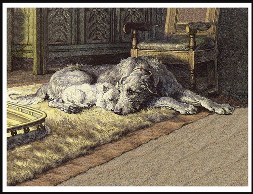 Irish wolfhound westie terrier - irish,