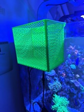 Mushroom / Anemone / Coral