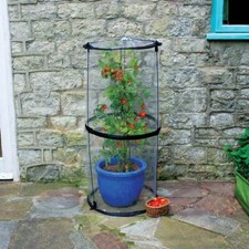 Haxnicks Twist Up Tomato