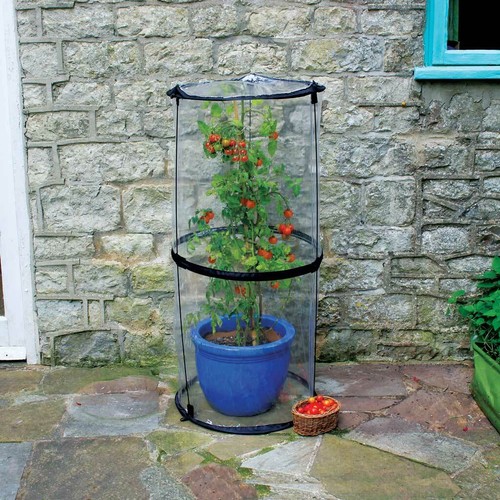 Haxnicks twist tomato - twist,