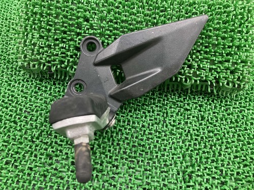 Ninja250r footpeg left - ninja250r, footpeg,