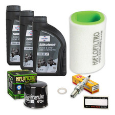 Yamaha Grizzly 450cc Service