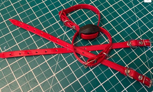 Ferreting collar bright red - collar,