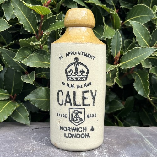 Caley norwich london by - norwich,