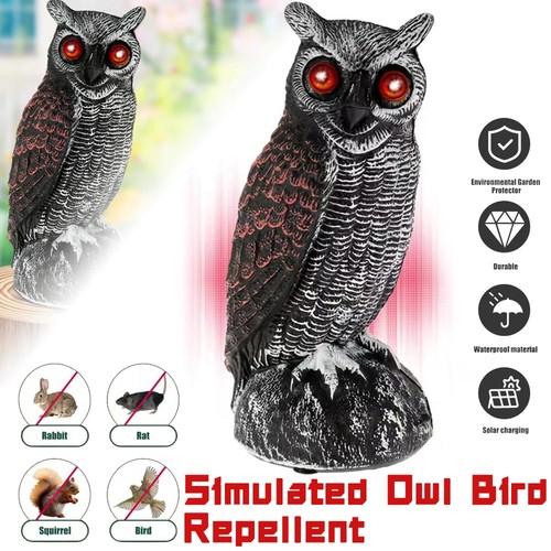 Solar owl decoy - solar, bird