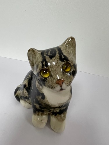 Winstanley grey tabby - winstanley,