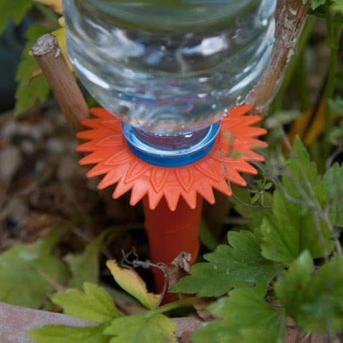Neat ideas water spikes pack - neat,