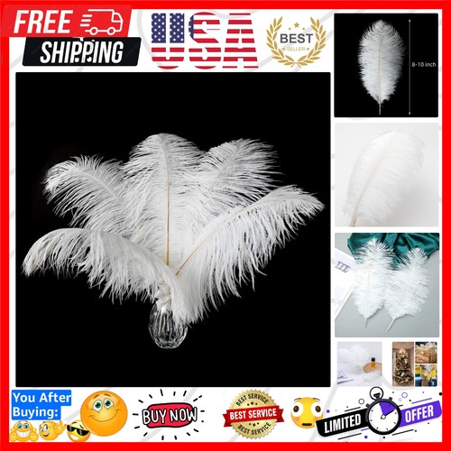 Large white ostrich - ostrich, feathers