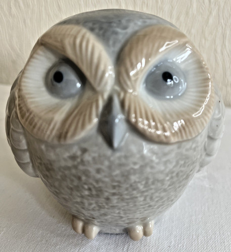 John jenkins owl - john,