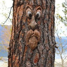 Outdoor tree funny old - funny, man