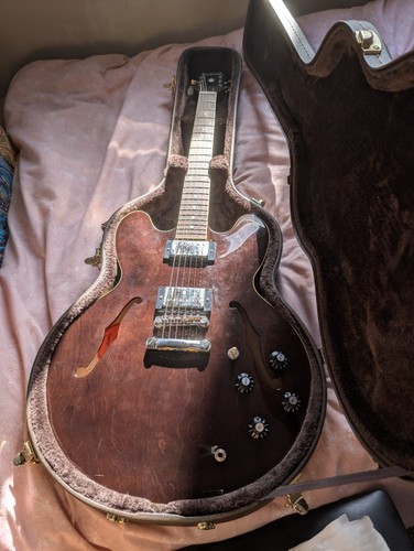 Epiphone jim james - epiphone,