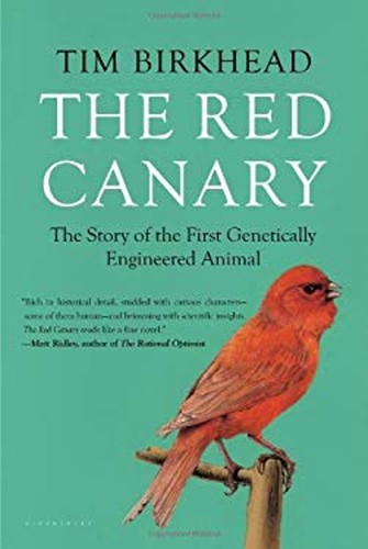 The red canary story - red,