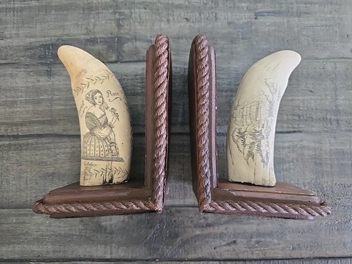 Whale tooth scrimshaw - tooth, scrimshaw-style