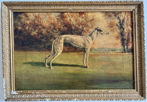 Vtg dog greyhound - oil, painting