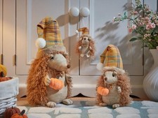 Sleepy Hog Hedgehog Autumn