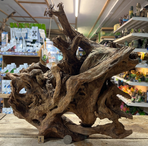Large mangrove 76cm root - 36-76cm,
