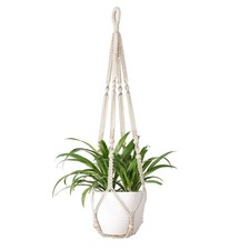 Macrame Plant Hangers Hanging