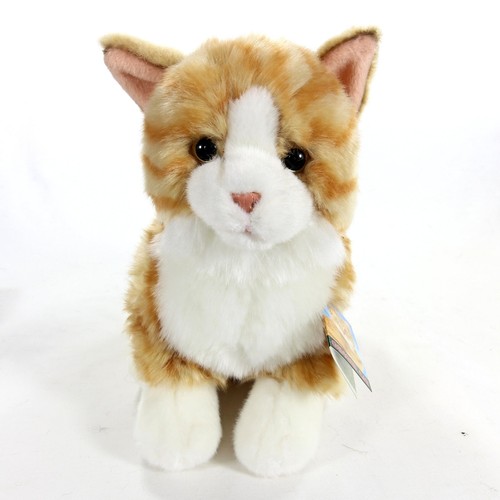 Faithful friends ginger tabby - faithful,