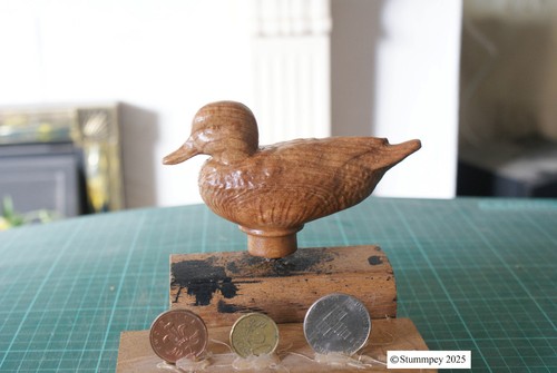 Duck few pal s - ,