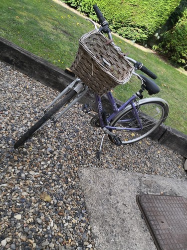 Ladies bicycle bike giant - bike,